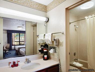 Ramada New Braunfels Hotel Room photo